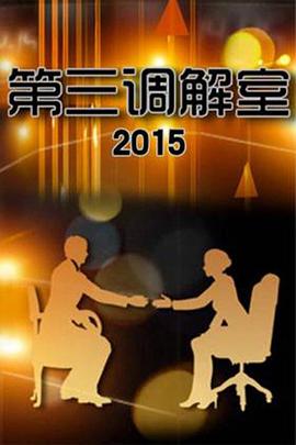 第三调解室20250415