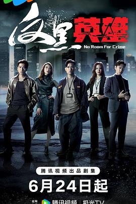 反黑英雄粤语第02集