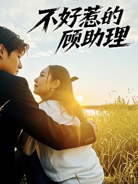 不好惹的顾助理全集(大结局)