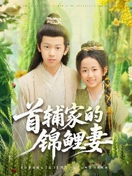 首辅家的锦鲤妻全集(大结局)