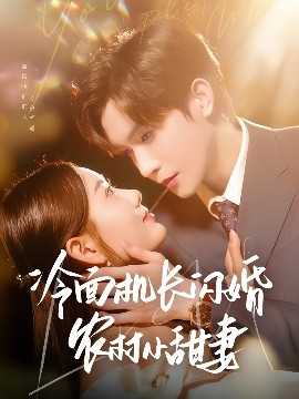 冷面机长闪婚农村小甜妻全集(大结局)