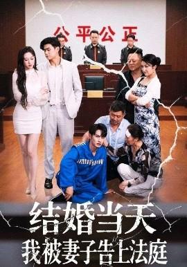 结婚当天我被妻子告上法庭全集(大结局)