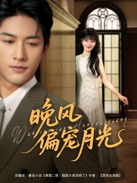 晚风偏宠月光全集(大结局)