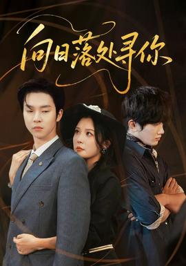 向日落处寻你全集(大结局)