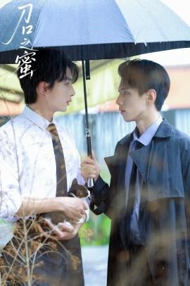 刀口之蜜全集(大结局)