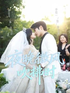 夜晚微风吹拂时全集(大结局)