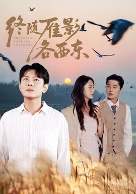 终随雁影各西东全集(大结局)