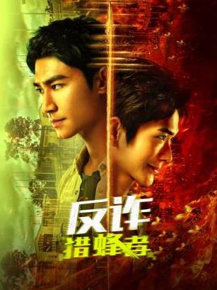 反诈·猎蜂者第13集